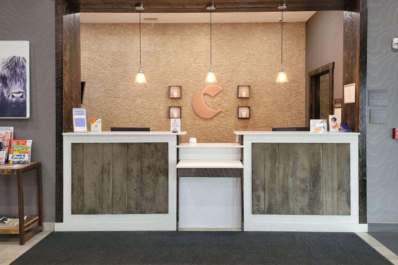 Comfort Inn & Suites Северен Батълфорд Екстериор снимка
