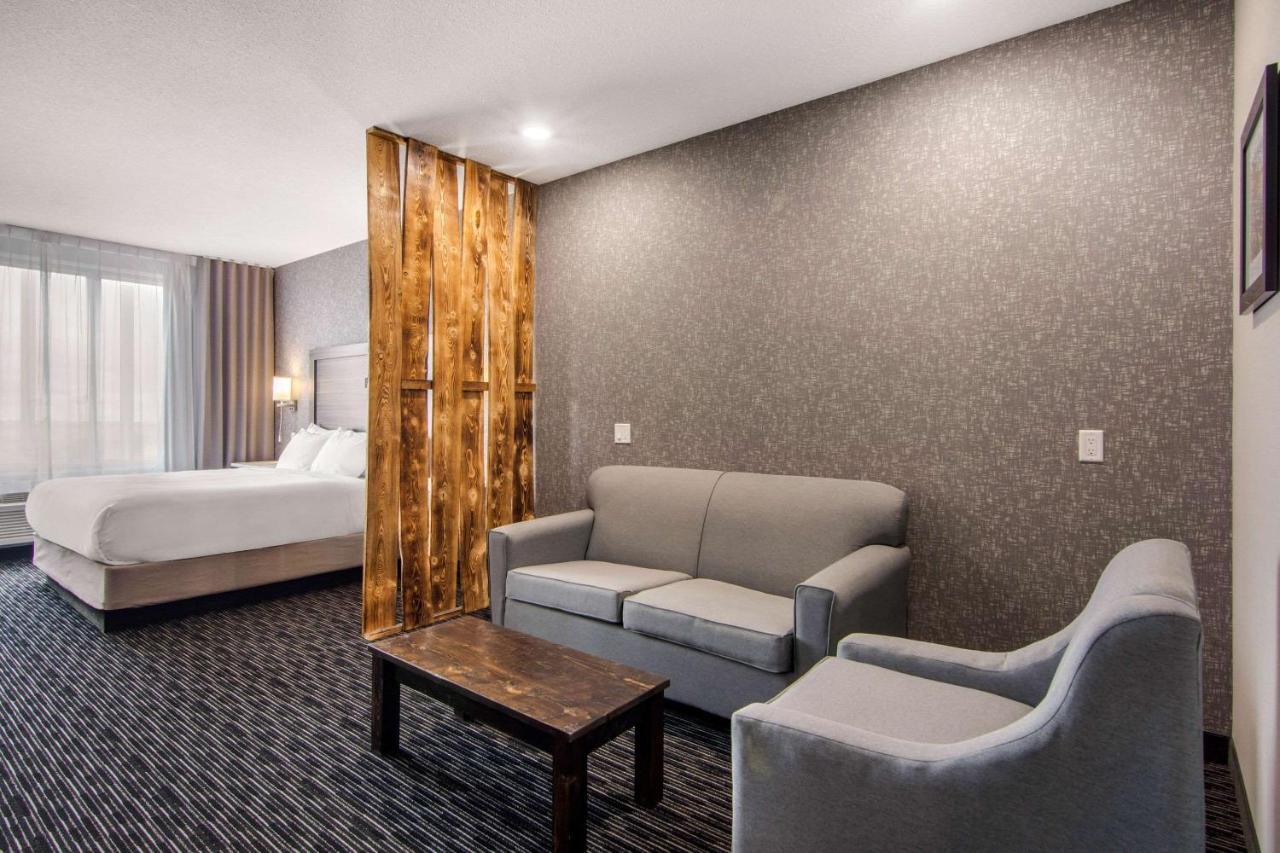 Comfort Inn & Suites Северен Батълфорд Екстериор снимка