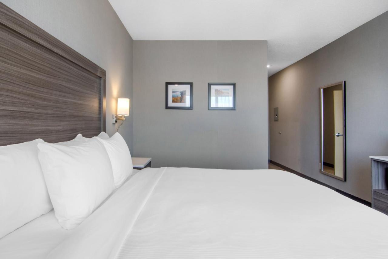 Comfort Inn & Suites Северен Батълфорд Екстериор снимка