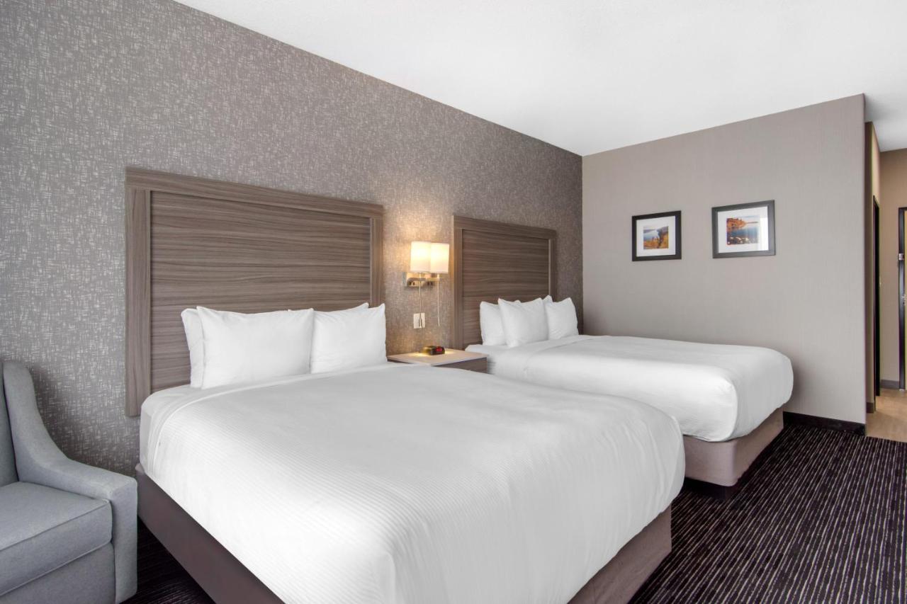 Comfort Inn & Suites Северен Батълфорд Екстериор снимка