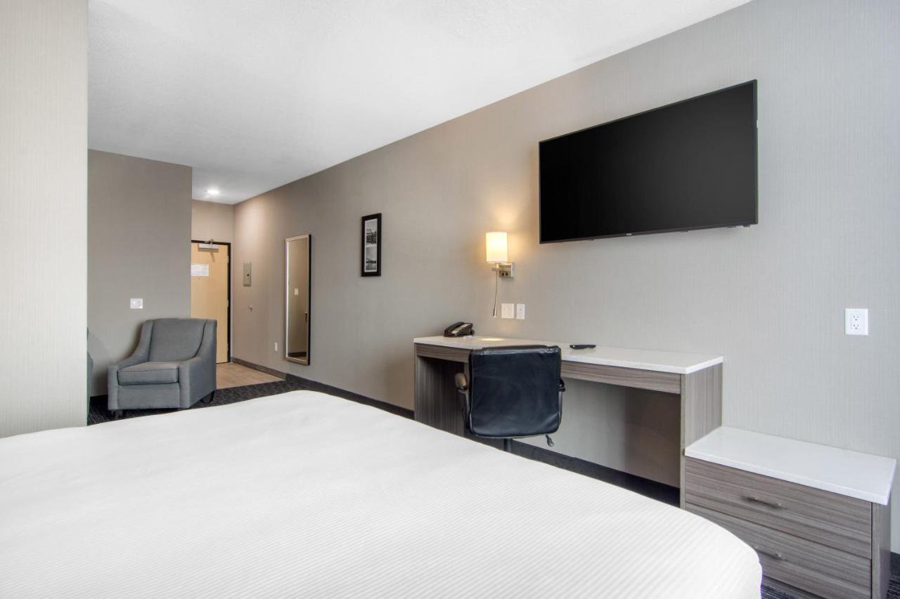 Comfort Inn & Suites Северен Батълфорд Екстериор снимка