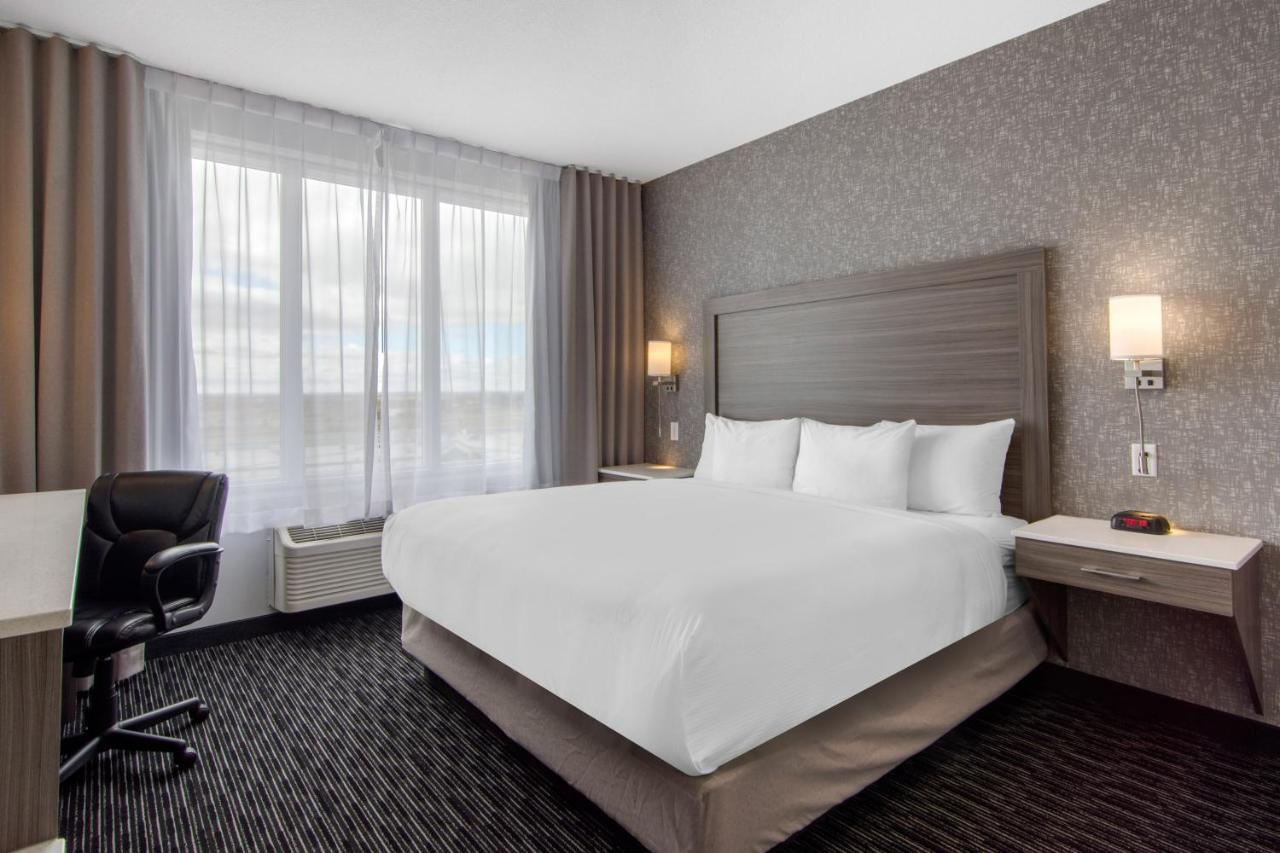 Comfort Inn & Suites Северен Батълфорд Екстериор снимка