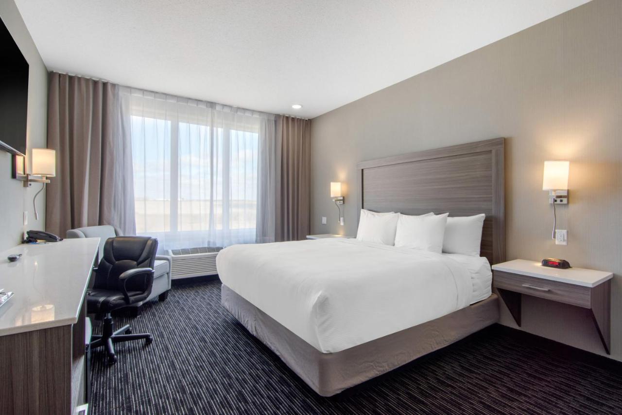Comfort Inn & Suites Северен Батълфорд Екстериор снимка